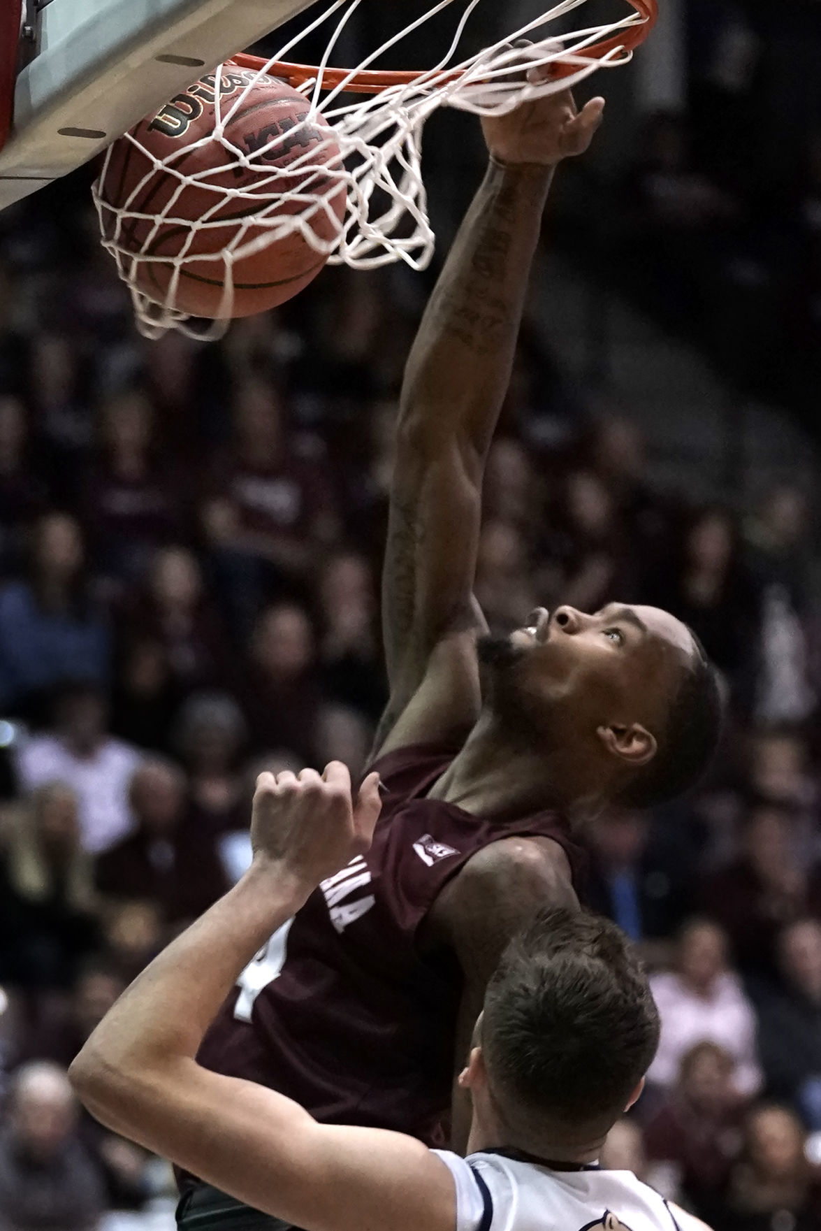 Griz v Cats-3-tm.jpg